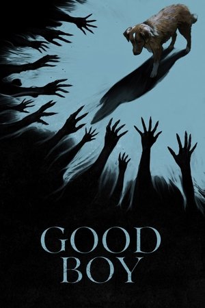 Good Boy (2025) มะหมาเห็นผี