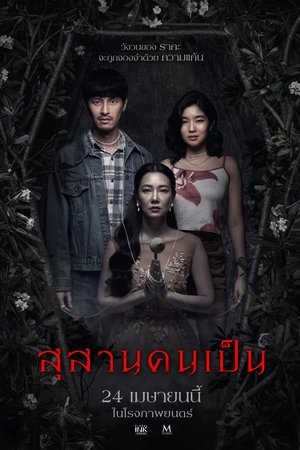 Tomb Watcher (2025) สุสานคนเป็น